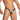 Daniel Alexander DAI100 Seductive Bikini with animal print and transparency Tempting Men's Underwear Collection
