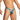 Daniel Alexander DAI100 Seductive Bikini with animal print and transparency Sensual Men's Underwear