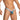 Daniel Alexander DAK076 Thong with animal print and transparency Irresistible Sexy Underwear