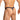 Daniel Alexander DAK076 Thong with animal print and transparency Stylish Men's Underwear Selection