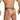 Daniel Alexander DAL053 G-String with contrast of color and animal print Daring Men's Undergarments