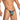 Daniel Alexander DAL055 Sexy G-String in animal print Irresistible Sexy Underwear
