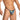 Daniel Alexander DAL055 Sexy G-String in animal print Provocative Men's Underclothing