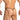 Daniel Alexander DAL055 Sexy G-String in animal print Daring Men's Undergarments