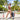 Cover Male CML034 G-String