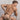 Secret Male SMK015 Thong