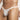 Daniel Alexander DA610 Protrude Pouch Bikini Sheer