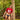 Agacio Thongs for Guys Sports Underwear AGK035 Irresistible Sexy Underwear
