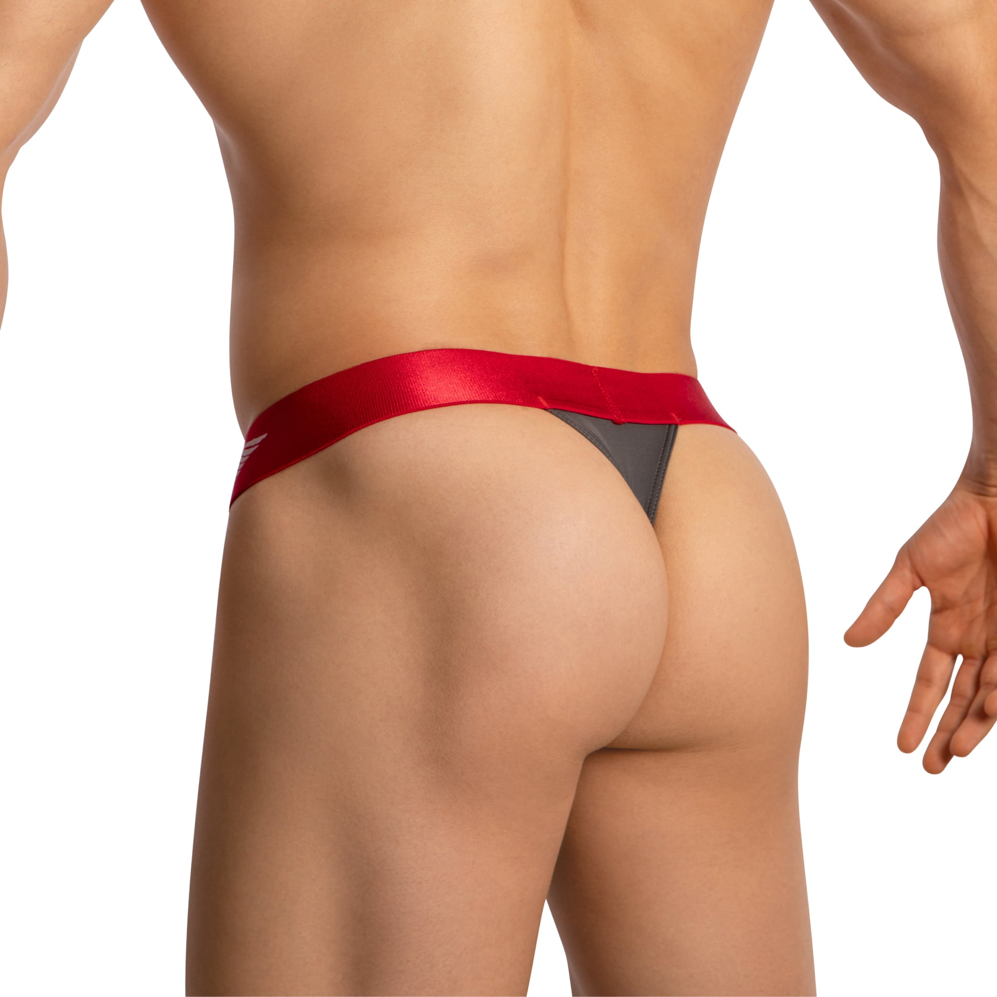 Agacio V-Cut Sheer Men's Thongs  AGK036 Sensual Men's Underwear