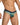 Daniel Alexander DAG014 Boxer Brief with eye-catching animal print Daring Men's Undergarments