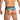 Daniel Alexander DAG014 Boxer Brief with eye-catching animal print Provocative Men's Underclothing