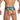 Daniel Alexander DAG014 Boxer Brief with eye-catching animal print Bold Men's Underwear