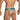Daniel Alexander DAG014 Boxer Brief with eye-catching animal print Sexy Men's Underwear