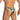 Daniel Alexander DAI100 Seductive Bikini with animal print and transparency Daring Men's Undergarments
