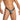 Daniel Alexander DAK076 Thong with animal print and transparency Fashionable Men's Thong