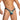 Daniel Alexander DAK076 Thong with animal print and transparency Modern Male Lingerie
