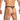 Daniel Alexander DAK076 Thong with animal print and transparency Daring Men's Undergarments