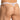 Daniel Alexander DAK076 Thong with animal print and transparency Tempting Men's Underwear Collection