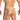 Daniel Alexander DAK076 Thong with animal print and transparency Tempting Men's Underwear Collection