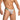 Daniel Alexander DAK077 Tight-fitting Thong with contrast of fabrics and colors Stylish Men's Underwear Selection