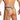 Daniel Alexander DAL053 G-String with contrast of color and animal print Tempting Men's Underwear Collection