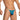 Daniel Alexander DAL054 G-String with Tone-on-tone and animal print Modern Male Lingerie