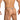 Daniel Alexander DAL054 G-String with Tone-on-tone and animal print Tempting Men's Underwear Collection