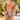Daniel Alexander DAL055 Sexy G-String in animal print Sexy Men's Underwear Choice