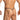 Daniel Alexander DAL055 Sexy G-String in animal print Sexy Men's Underwear