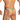 Daniel Alexander DAL055 Sexy G-String in animal print Bold Men's Underwear