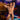 Good Devil GDU038 Dual Cross Strings Accessory Modern Male Lingerie