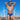 Agacio AGG067 Sheer Sides Boxer Trunk