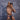 Cover Male CMI066 Color Slash Sheer Bikini