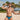 Cover Male CMJ027 Northern Bikini