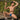 Cover Male CML022 G-String