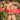 Cover Male CML023 G-String
