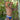 Daddy DDE047 Jockstrap