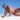 Daddy DDE053 Dual Color Wide Waistband Jockstrap