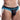 Daniel Alexander DAI050 Bikini Brief