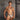 Daniel Alexander DAI079 Bikini Brief