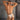 Daniel Alexander DAI079 Bikini Brief