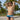 Daniel Alexander DAI090 Bikini Brief