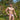 Daniel Alexander DAI094 Almost Naked Bikini