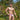 Daniel Alexander DAI094 Bikini Brief