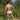 Daniel Alexander DAI094 Bikini Brief
