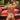 Daniel Alexander DAK053 Thong