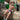 Edipous EDG027 Boxer Brief
