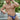 Feel FEI015 Bikini Brief