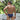 Feel FEI015 Bikini Brief