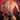 Good Devil GDI028 Bikini Brief
